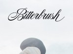 Bitterbrush