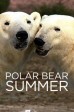 Polar Bear Summer