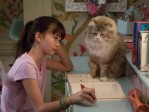 Nine Lives