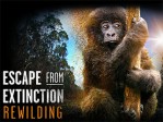 Escape From Extinction Rewilding