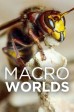 Macro Worlds S1:01