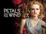 Petals on the Wind