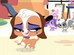 It's the Pet Fest! Part 1