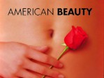 American Beauty