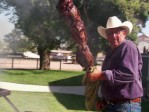Cowboy Cooking